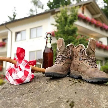 Hotel Buchbergerhof Grafenwiesen